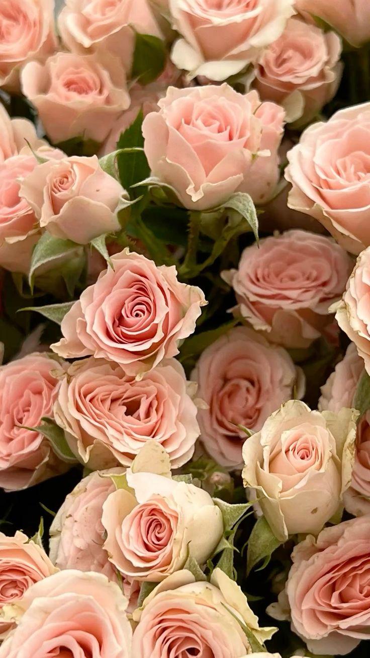 Sunset Serenade Amber Floral Melody