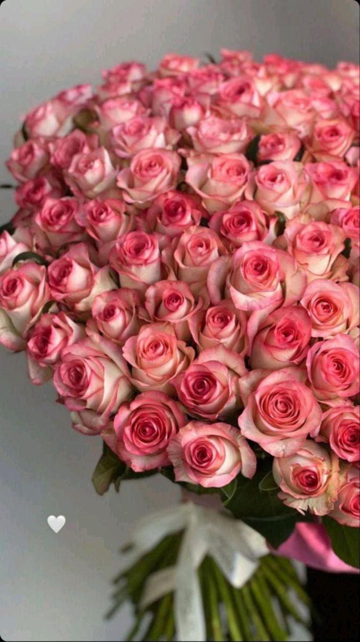 Enchanted Garden Vibrant Blossom Mix